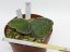 Sansevieria kirkii silver blue  No.11