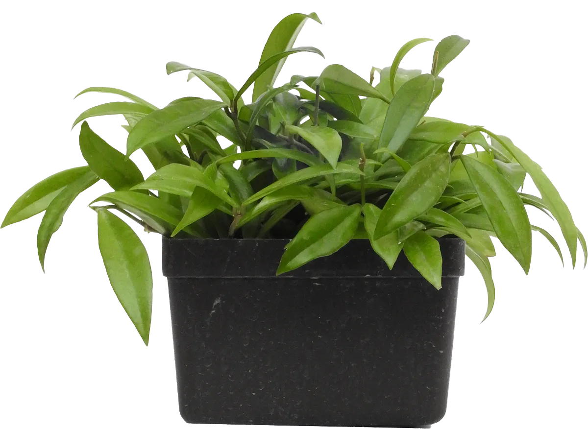 Akce 1+1 do konce října